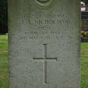 Nicholoson John Aristotle