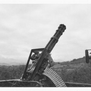 Vietnam Gun Truck minigun