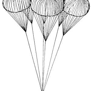 clip art
