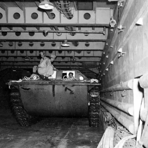 lvt