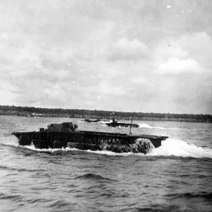 lvt