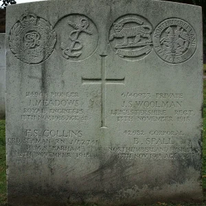 Collins Fredierick Samuel