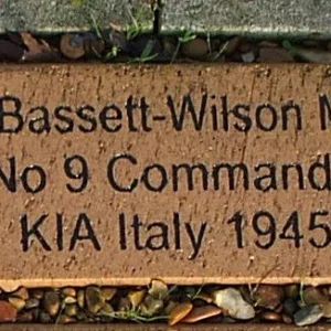 Bassett-Wilson Paul Francis