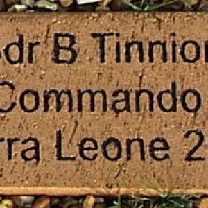 Bombardier Tinnion Bradley