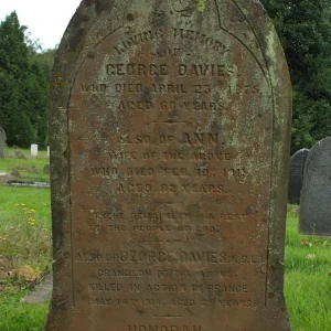 Davies George