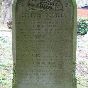Bentley Albert