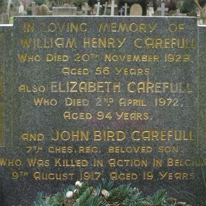 Carefull John Bird