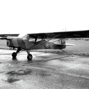 Auster Model D1 A.O.P Mk I