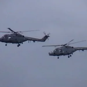 Royal Navy 'Black Cats'