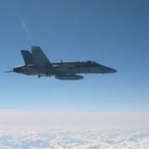 Hornet