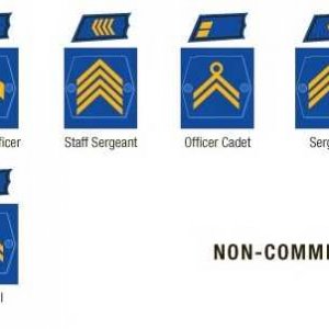 Non-comissioned Officers