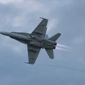 Hornet