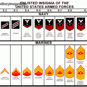 US Navy Enlisted Ranks | MilitaryImages.Net