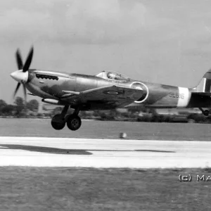 Spitfire MkXVI