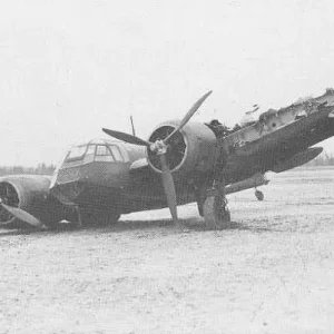 BL-135