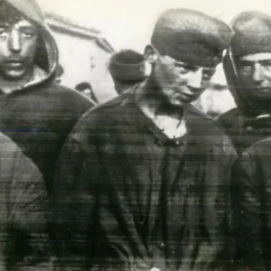 soldiers in action