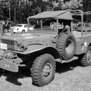 american trucks