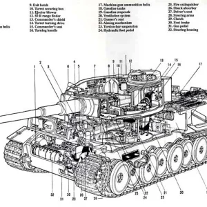 line drawings
