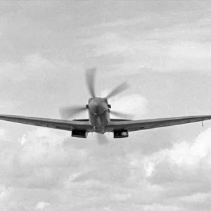 Spitfire in Flight