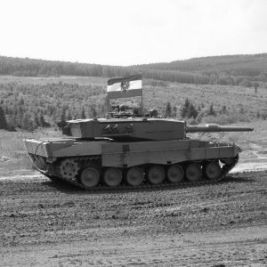 leopard Tank