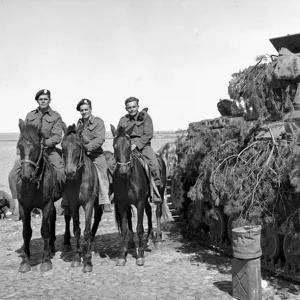sherman tanks