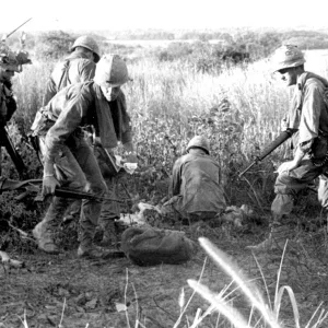 check out bodies of dead NVA