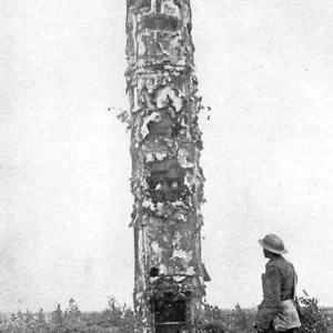 WW1 German observation post disuised as a tree