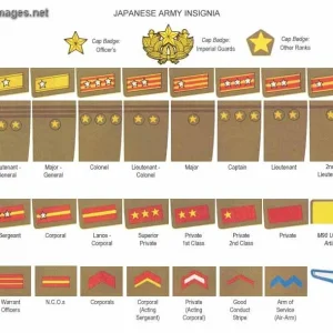 Japanese Army Ranks WW2