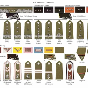 Polish Army Ranks WW2