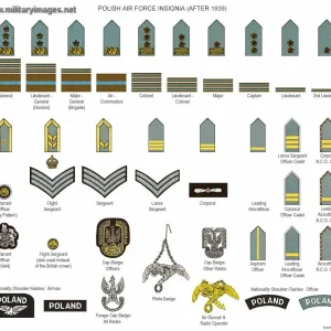Polish Airforce Ranks after 1939