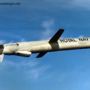 Tomahawk in Flight