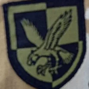16 Air Assault Brigade Subdued