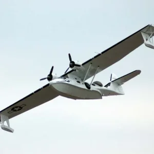 Catalina