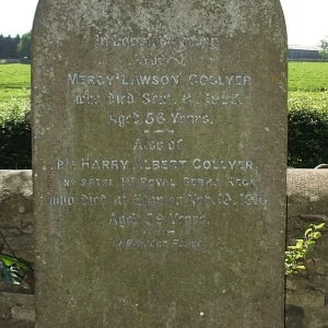 Harry Albert COLLYER