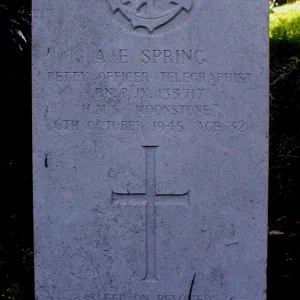 Albert Edward SPRING