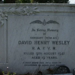 WESLEY, David Henry