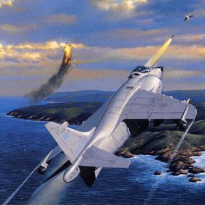 Sea Harrier , Falklands War