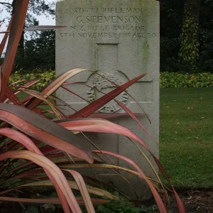 STEVENSON, Gordon