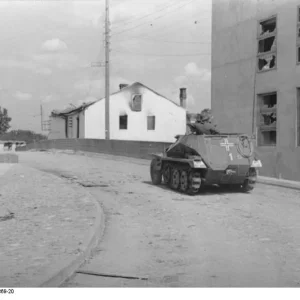 german