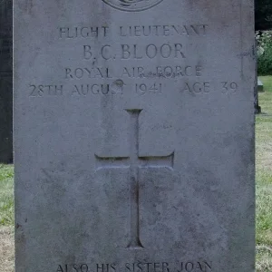 Brian Cotter BLOOR