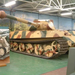 King Tiger