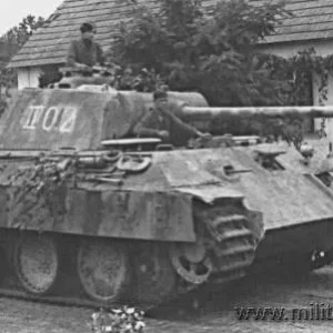 Panther