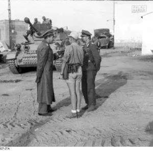 Panzers in Sardinia WW2