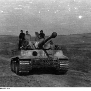 Gutscher Russland SS-Division Das Reich Tiger