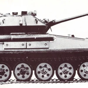 Scorpion