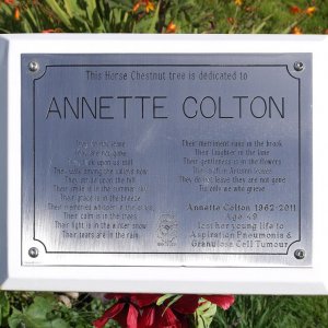 Annette COLTON