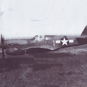 A P-40 Warhawk