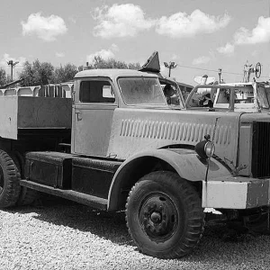 79061