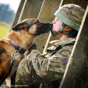 Give_us_a_Kiss