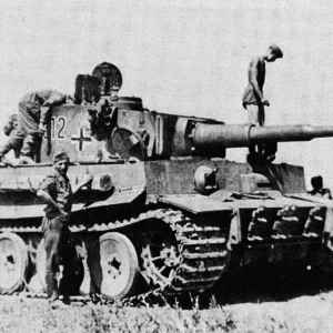 176356
